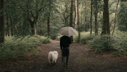 Hiking in the rain: how to stay dry and motivated