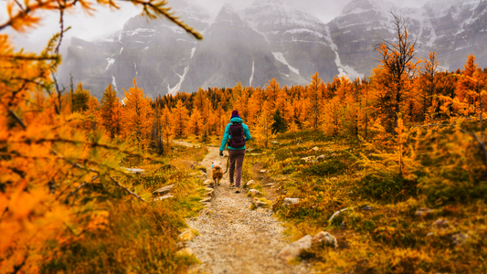 Why Autumn is the Best Season for Hiking